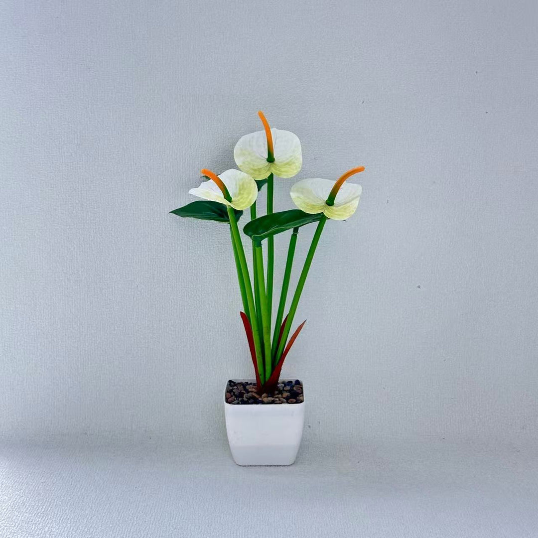 Realistic Anthurium Plant Arrangement