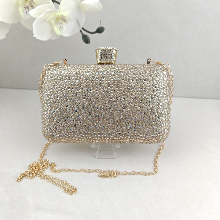 Sparkling Evening Clutch