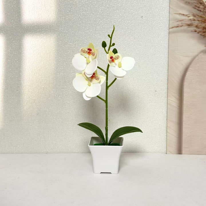 Artificial Orchid Arrangement for Home and Office Decor