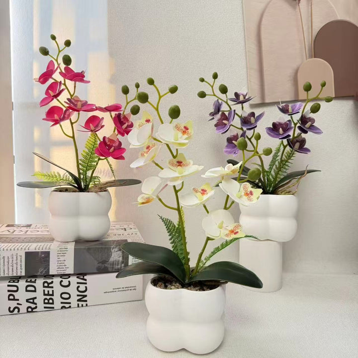 Decorative Artificial Orchid for Indoor Home Display