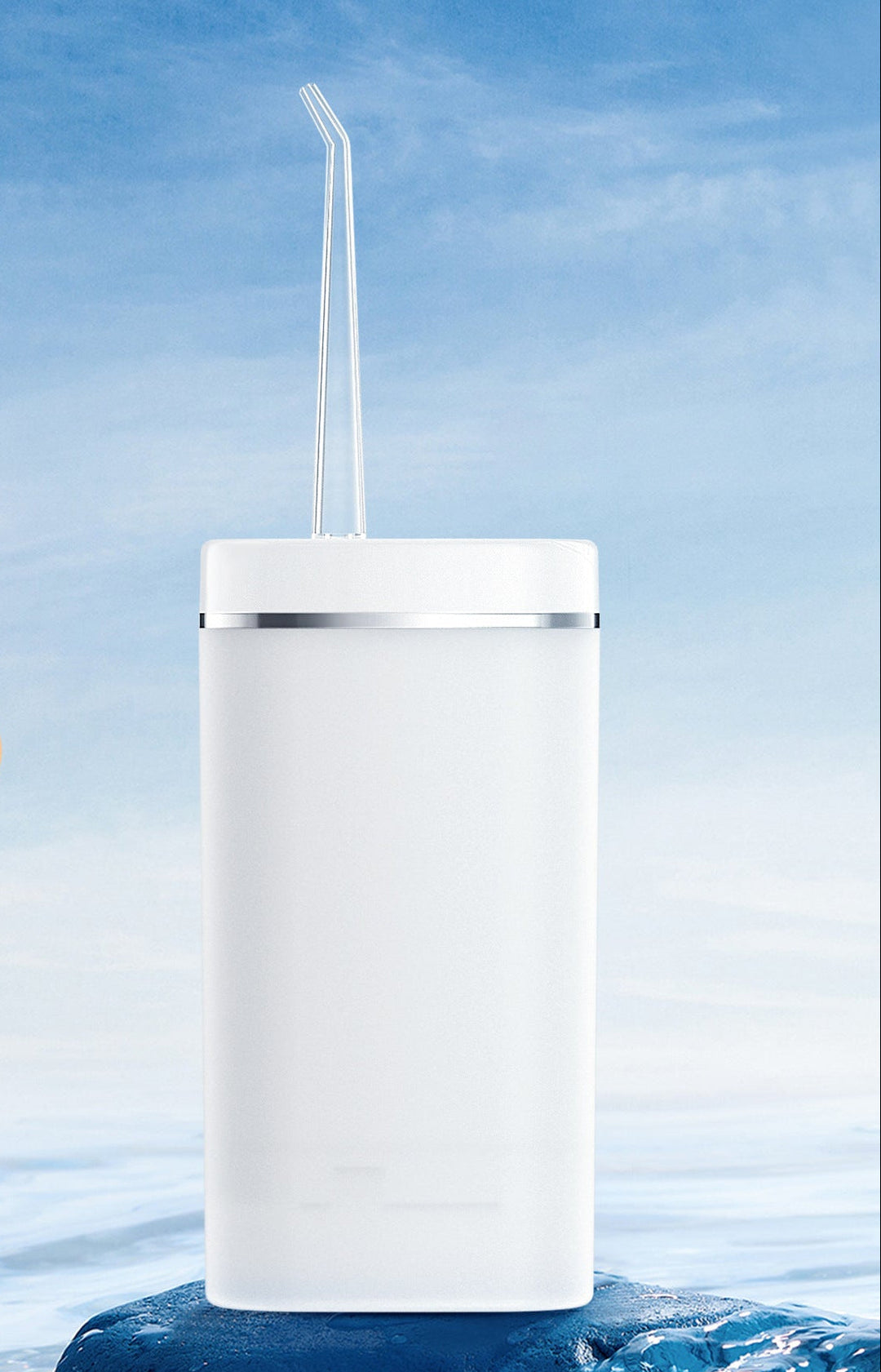 Portable Travel Toothbrush Holder Stornfield