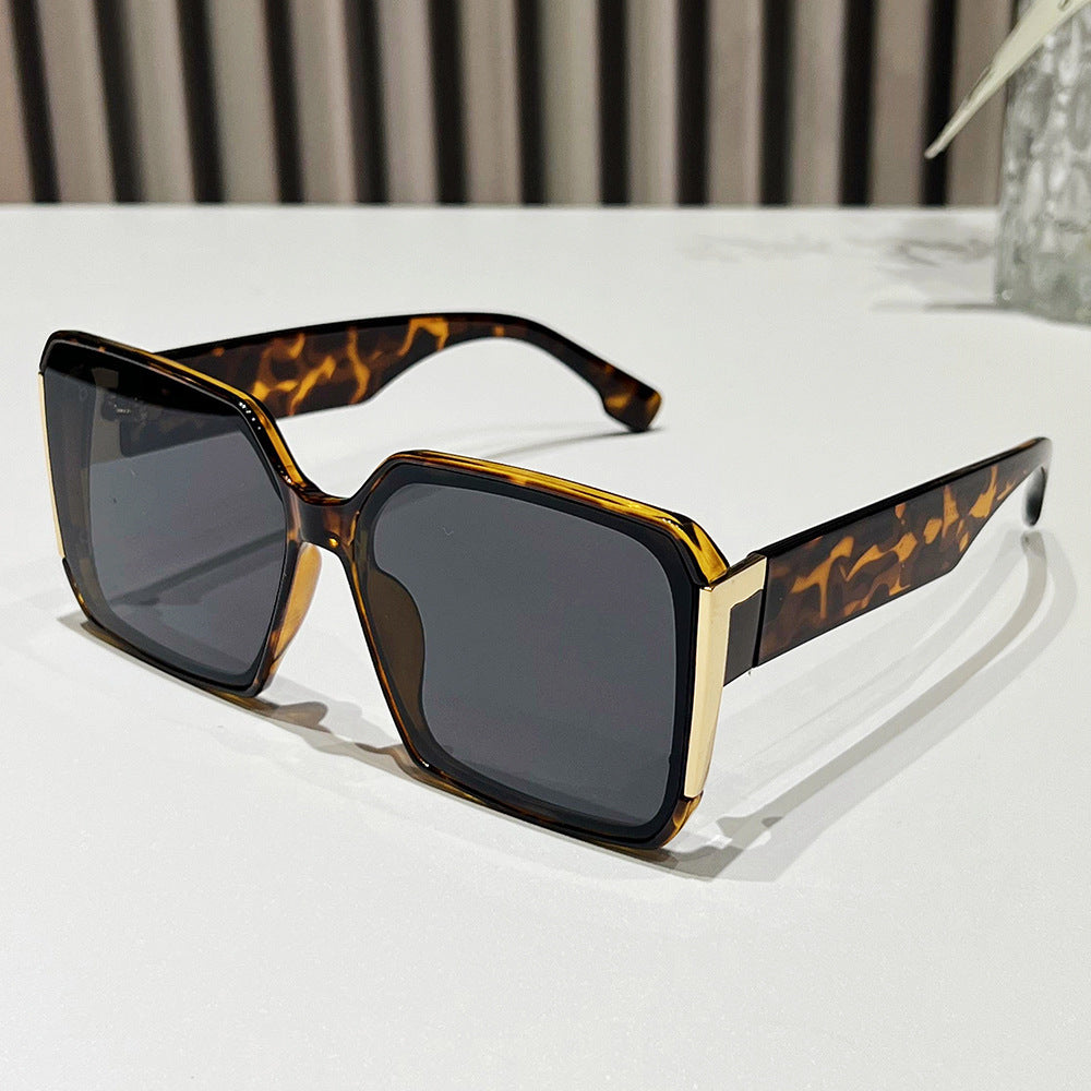 Women's fashionable sunglasses with elegant accents Stornfield