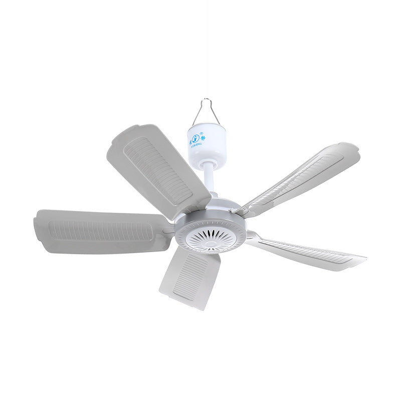 Ladies Ceiling Fan Stornfield