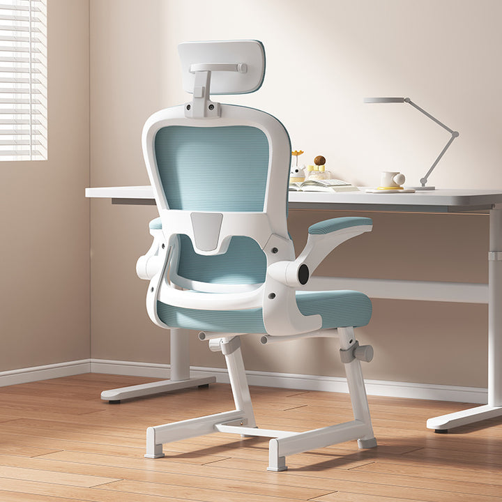 Ergonomic Office Chair Stornfield