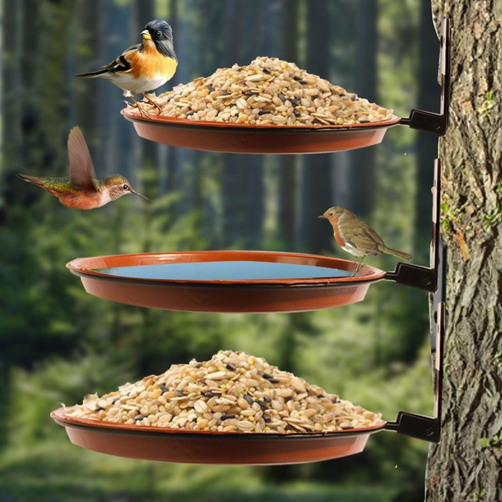 Bird Bath and Feeder Stornfield