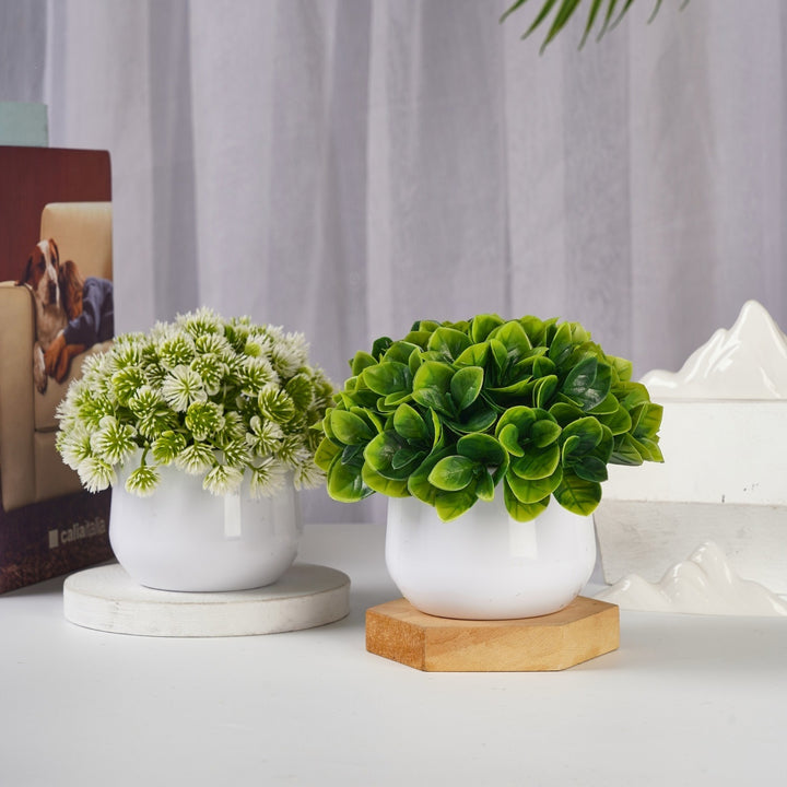 Lifelike Succulent Decor