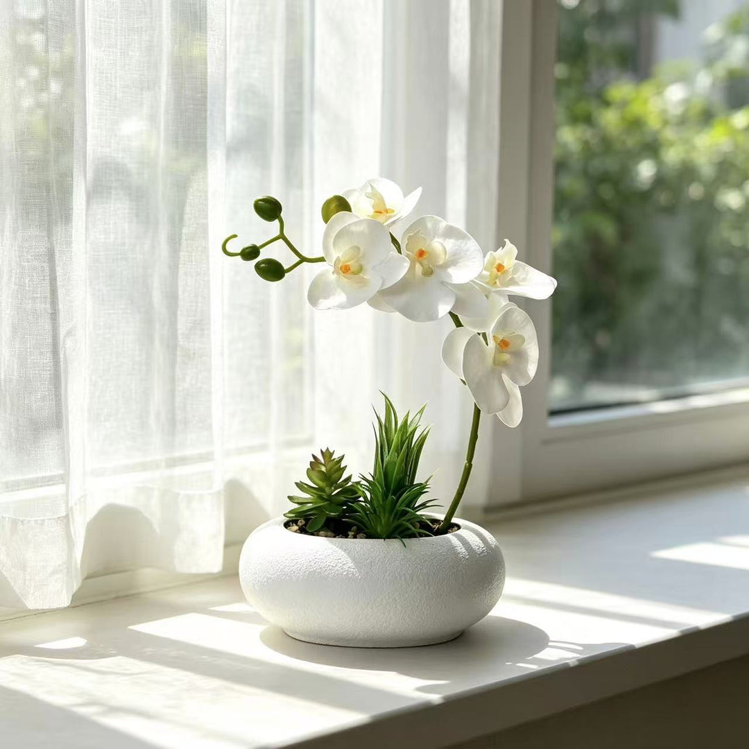 Elegant Orchid and Succulent Planter
