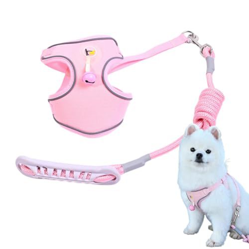 Pet harness with leash Stornfield