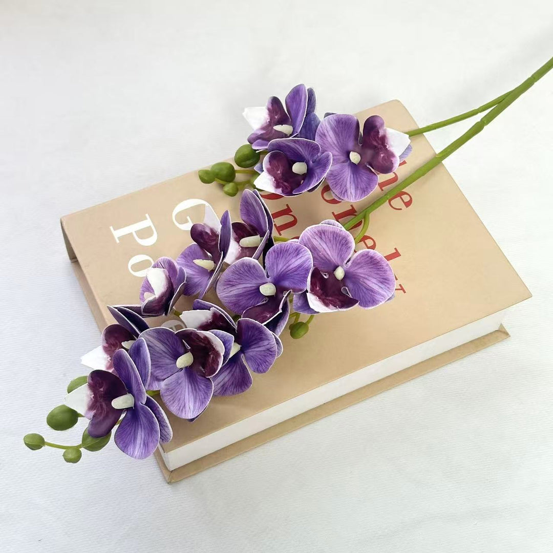Decorative Orchid for Indoor Home Display