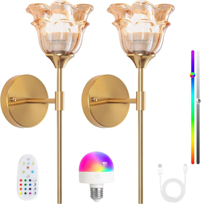 Adjustable Wall Sconce