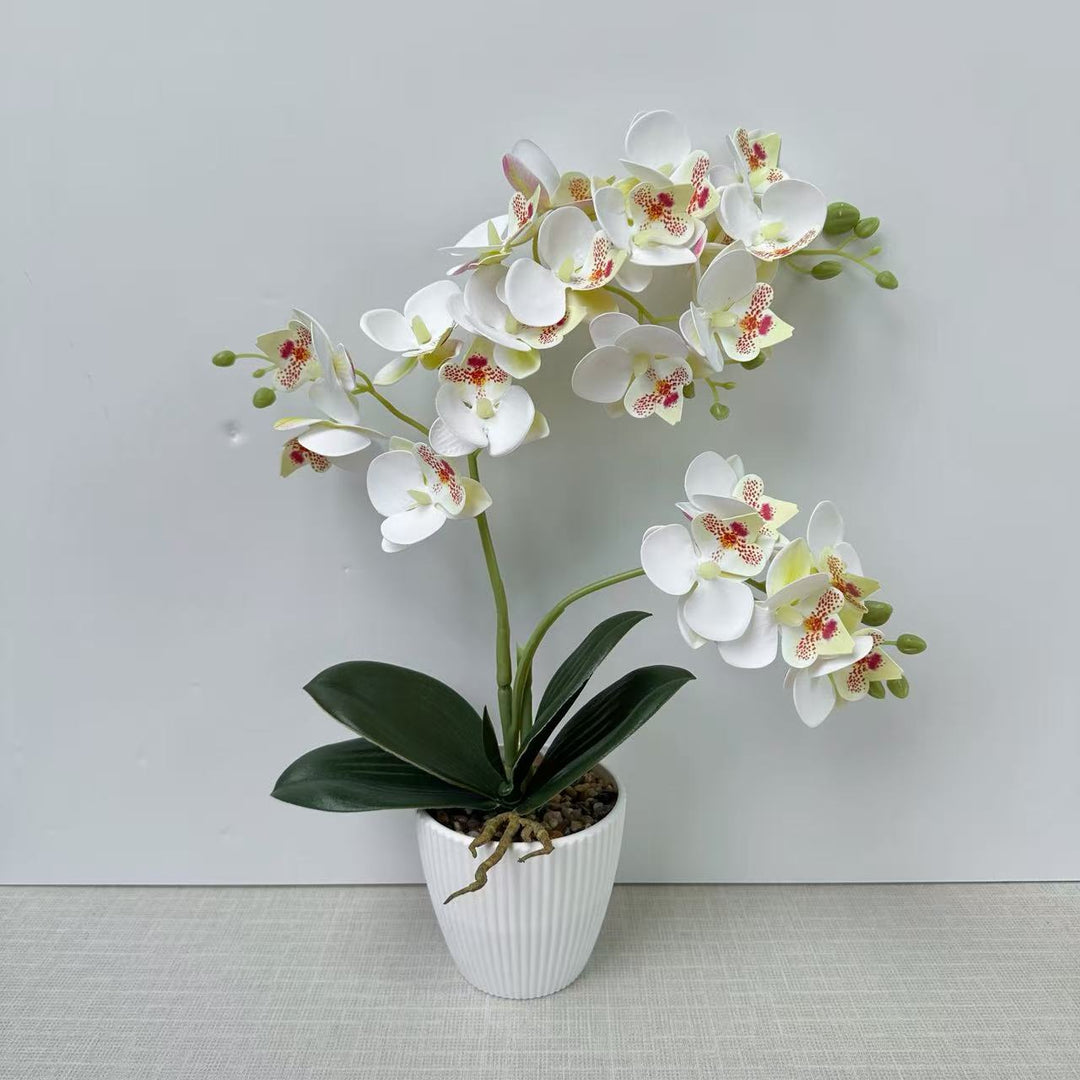 Lifelike Orchid Floral Arrangement
