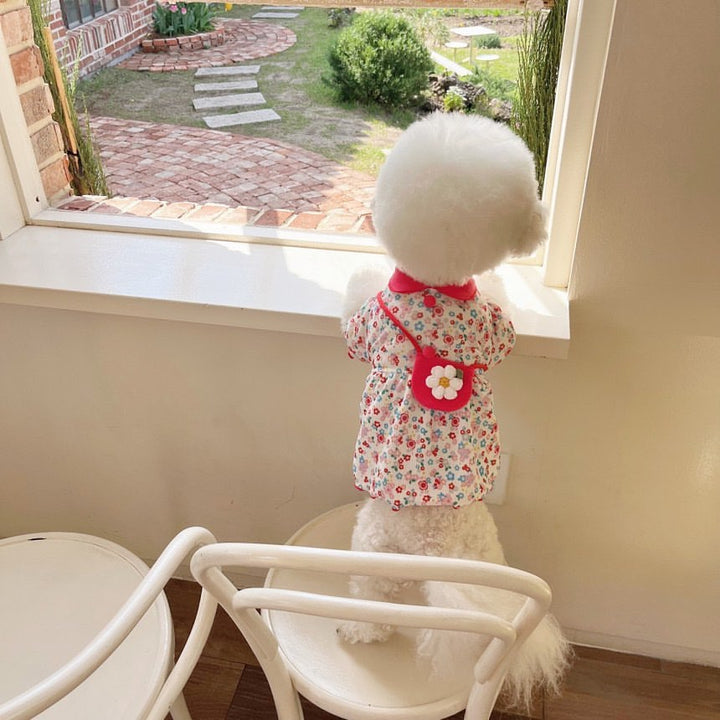 Baby Floral Ribbed Cotton Dress with Peter Pan Collar