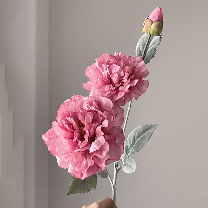Realistic Peony Flower Stem