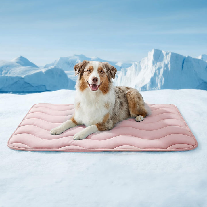 Ladies orthopedic dog bed Stornfield