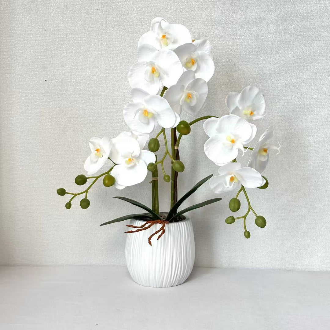 Realistic Orchid Floral Arrangement