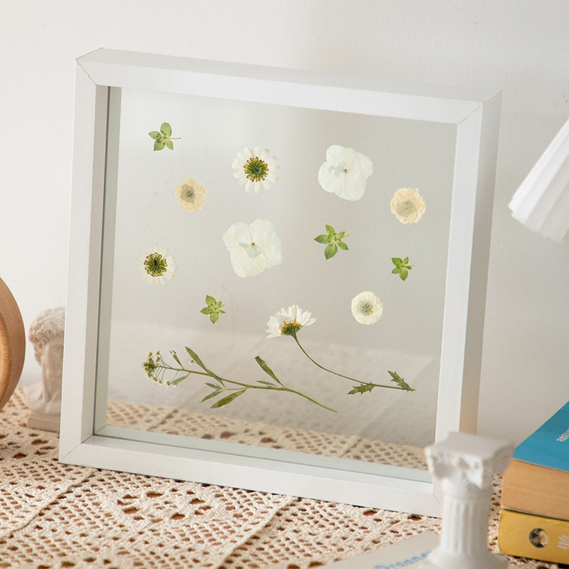 Preserved Floral Shadow Box Art