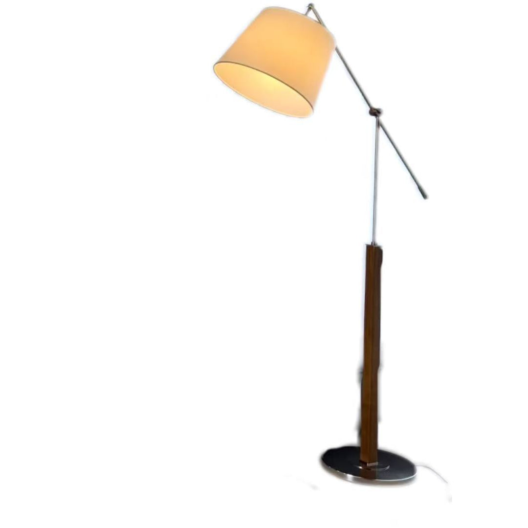 Adjustable Arm Floor Lamp