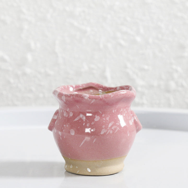 Miniature Decorative Flower Pot Stornfeild