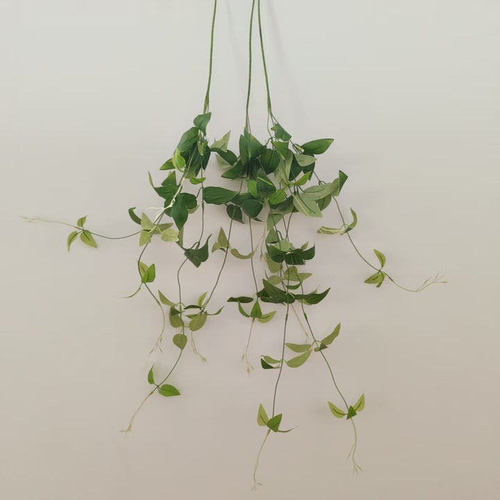 Lifelike Trailing Vine Plant