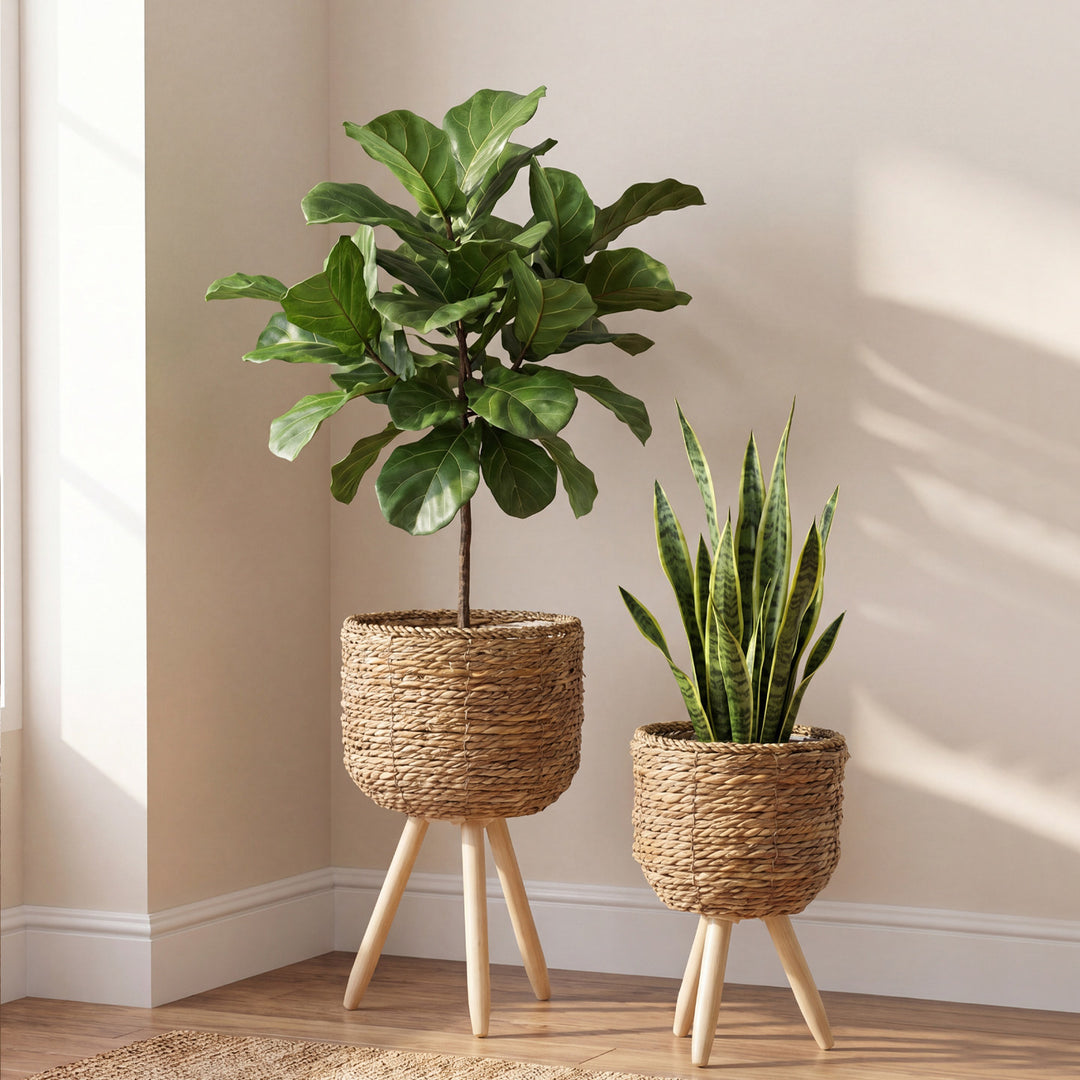 Stornfield Planter