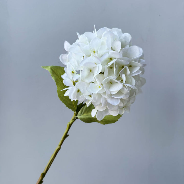 Floral Decorative