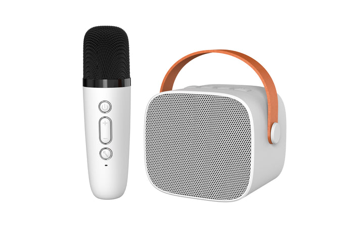 Wireless Karaoke Speaker System Stornfield