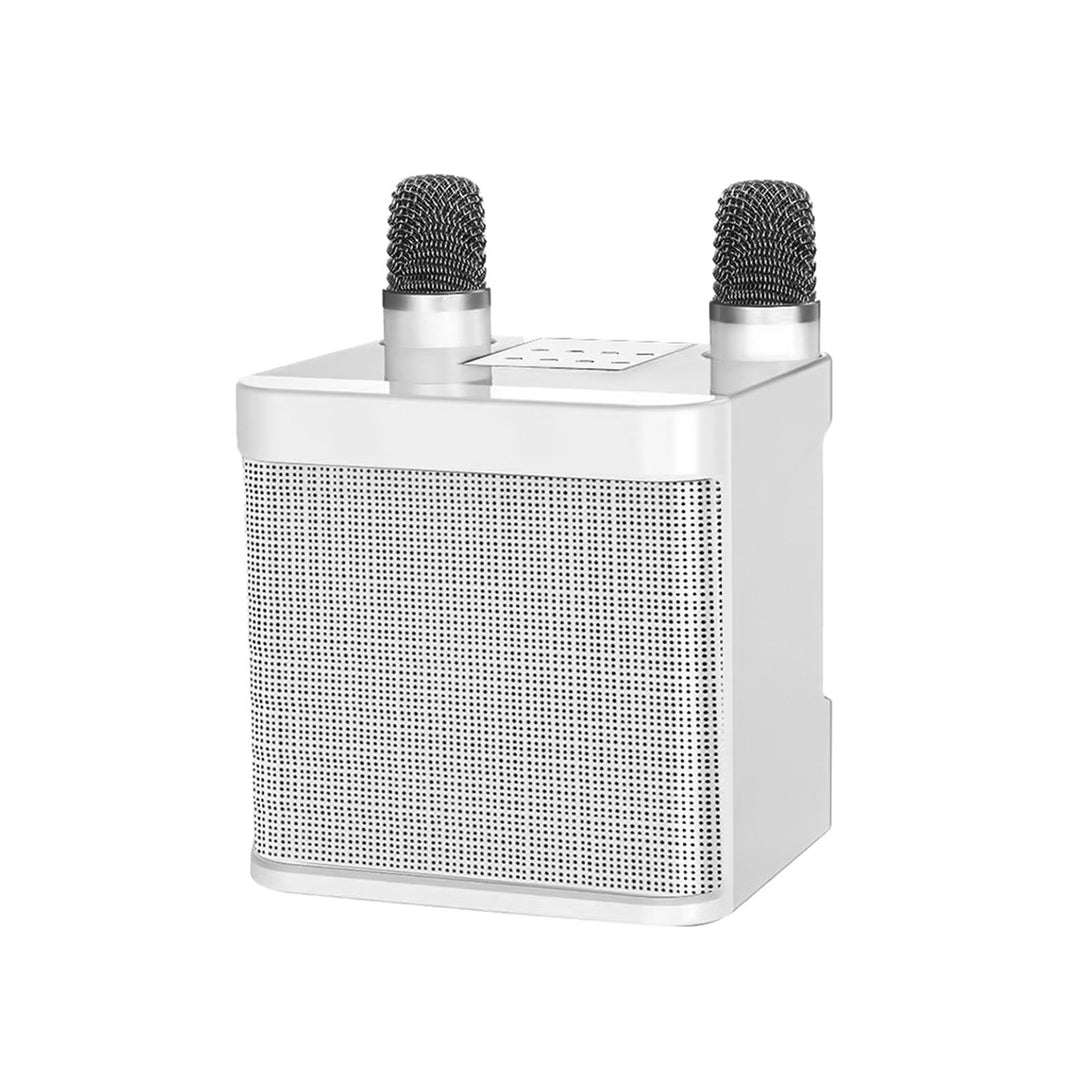 Wireless Karaoke Sound System Stornfield