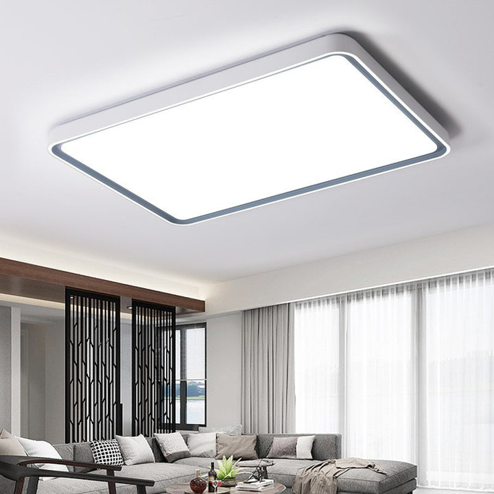 Contemporary Flush Mount Ceiling Light