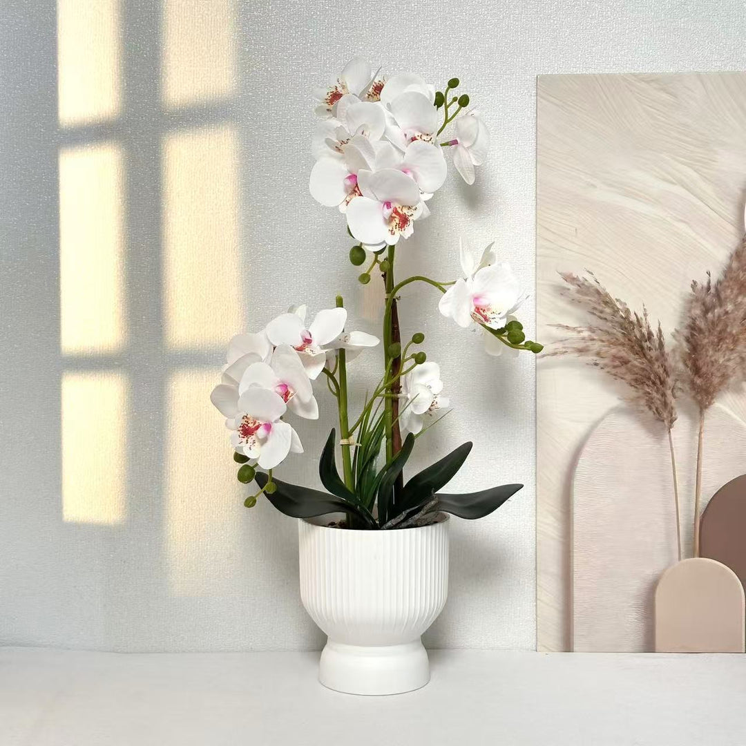 Decorative Orchid Plant Arrangement 1790480695 for Decor