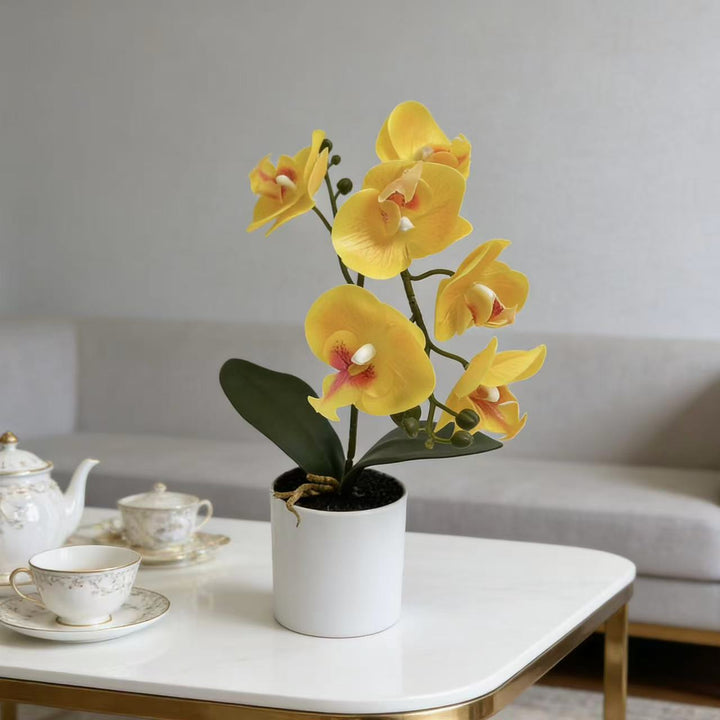 Lifelike Phalaenopsis Orchid Plant Arrangement