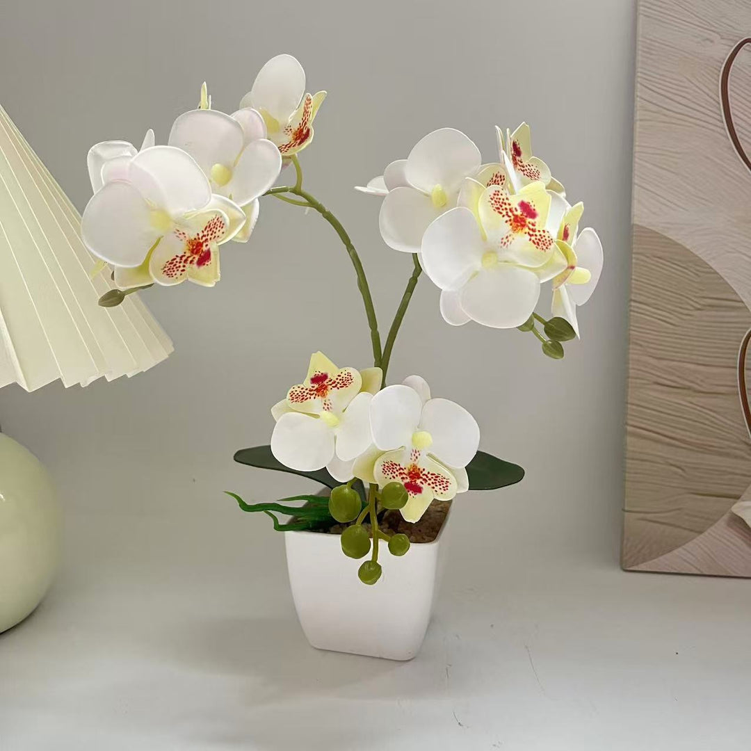 Lifelike Orchid Plant Arrangement for Home Display