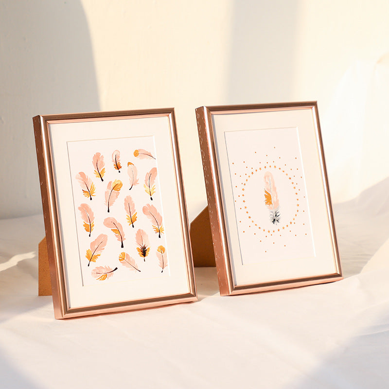 Decorative Artwork Display Frames