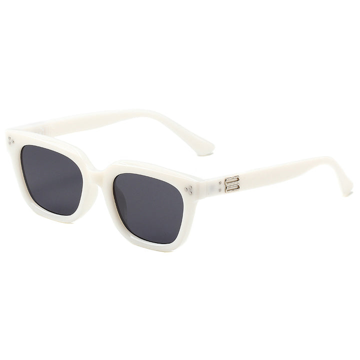 Fashionable Acrylic Sunglasses in Modern Design Stornfield