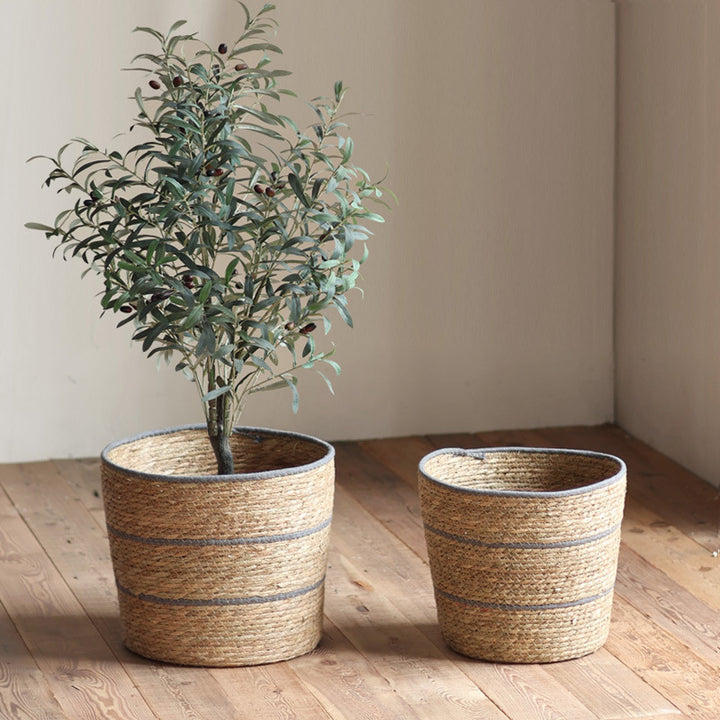 Plant basket Stornfield