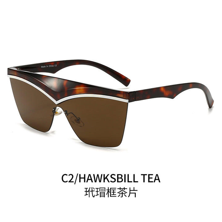 Ladies Designer Sunglasses with Asymmetrical Frame and High-Tech Lenses Stornfield