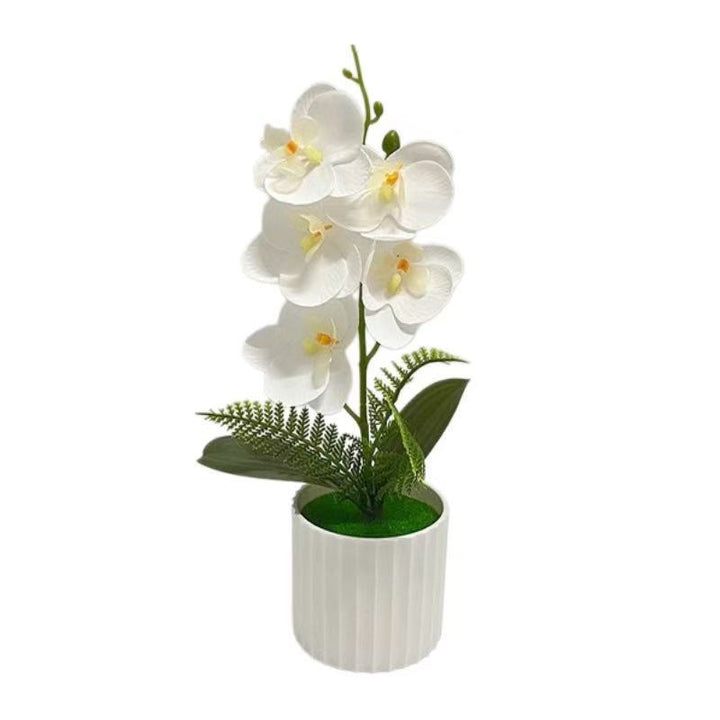 Decorative Orchid Plant Arrangement 1790480742 for Decor