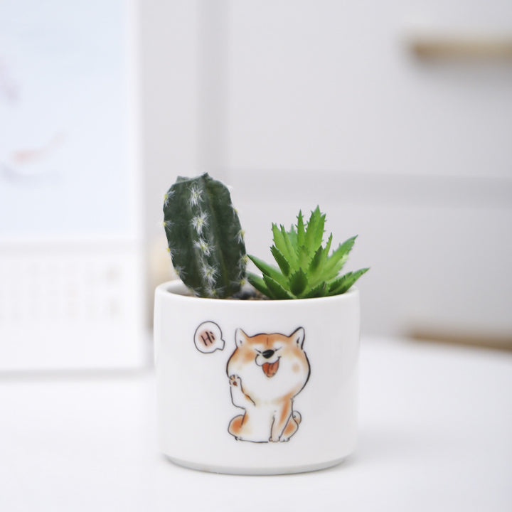 Cute Animal-Themed Succulent Planter Stornfeild