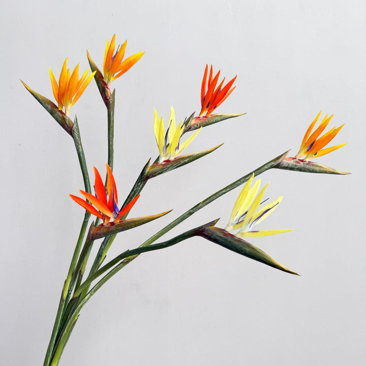 Decorative Flower Display
