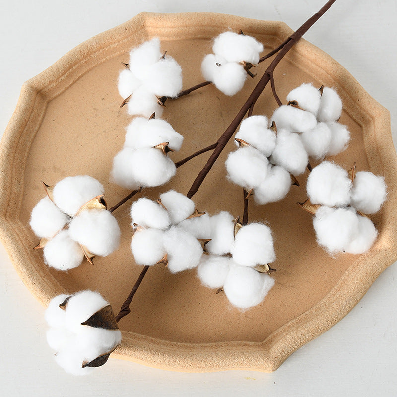 Decorative Cotton Branch Arrangement