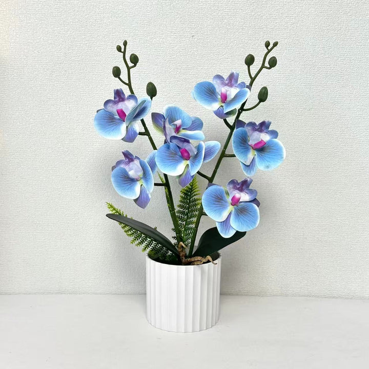 Realistic Orchid Plant Arrangement