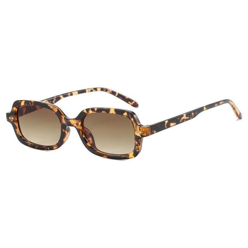 Ladies fashionable sunglasses with unique tortoiseshell frame Stornfield