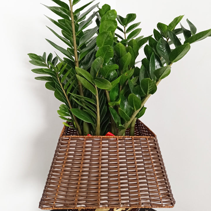 Storage Basket Stornfield
