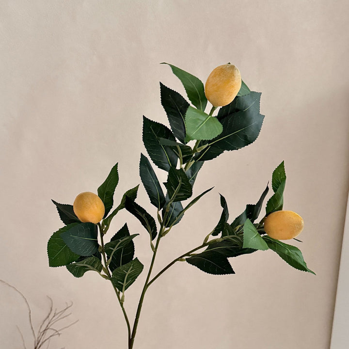 Artificial Lime Branch