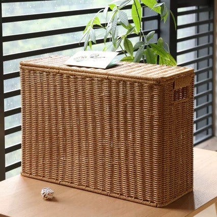 Unisex decorative rattan storage box Stornfield