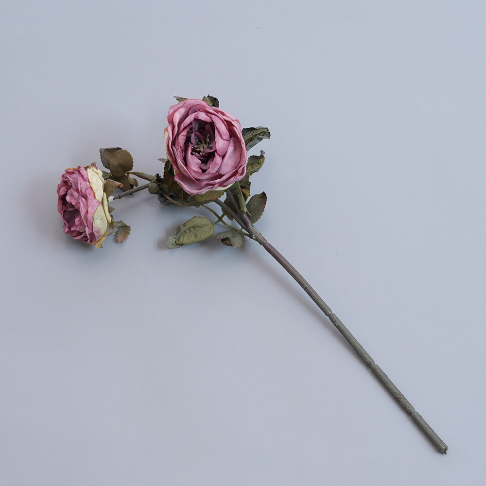 Elegant Dried Botanical Stem