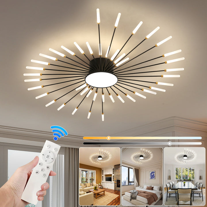 Starburst Ceiling Light