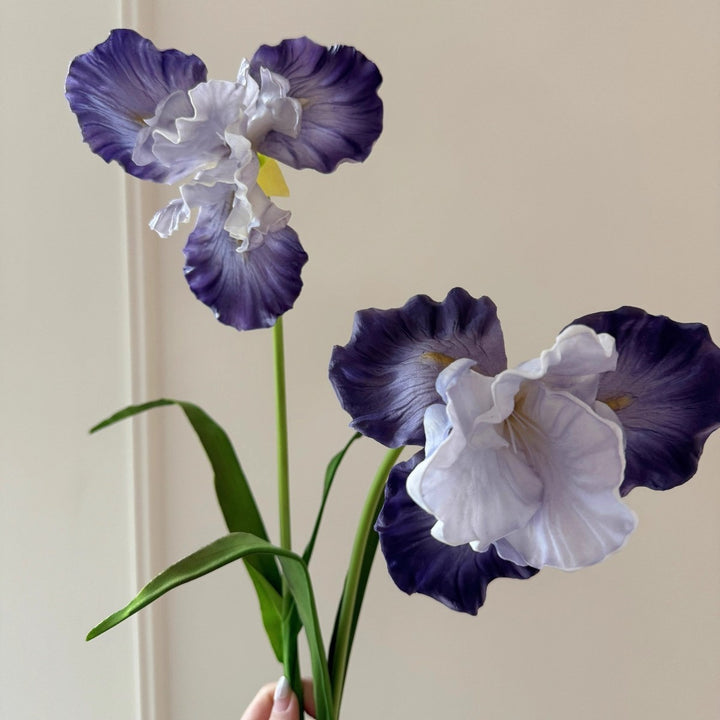 Decorative Iris Flower Stem