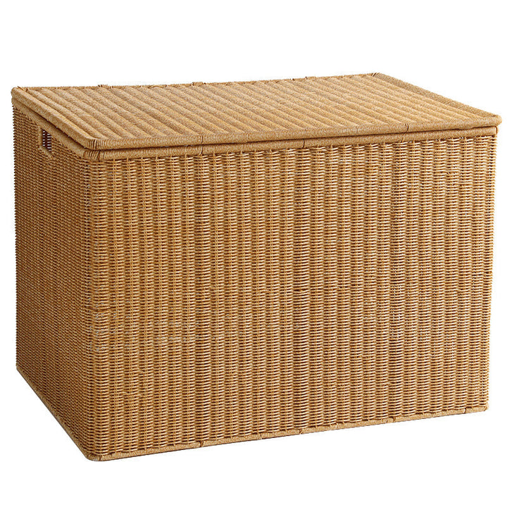 Durable Woven Storage Chest Stornfield