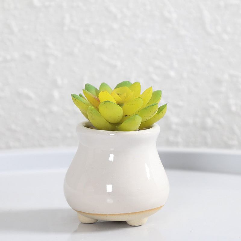 Miniature Decorative Flower Pot Stornfeild