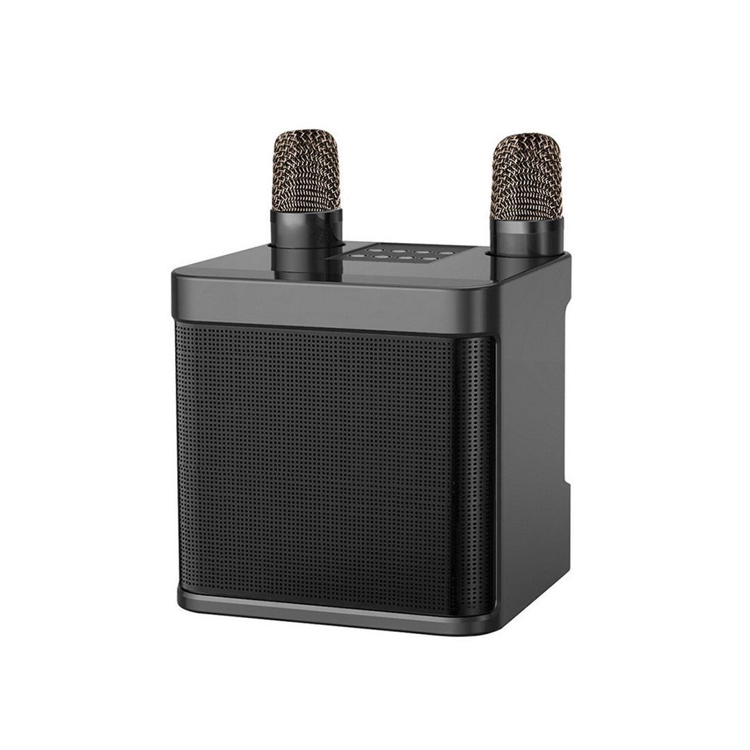 Dual Microphone Karaoke Speaker Stornfield